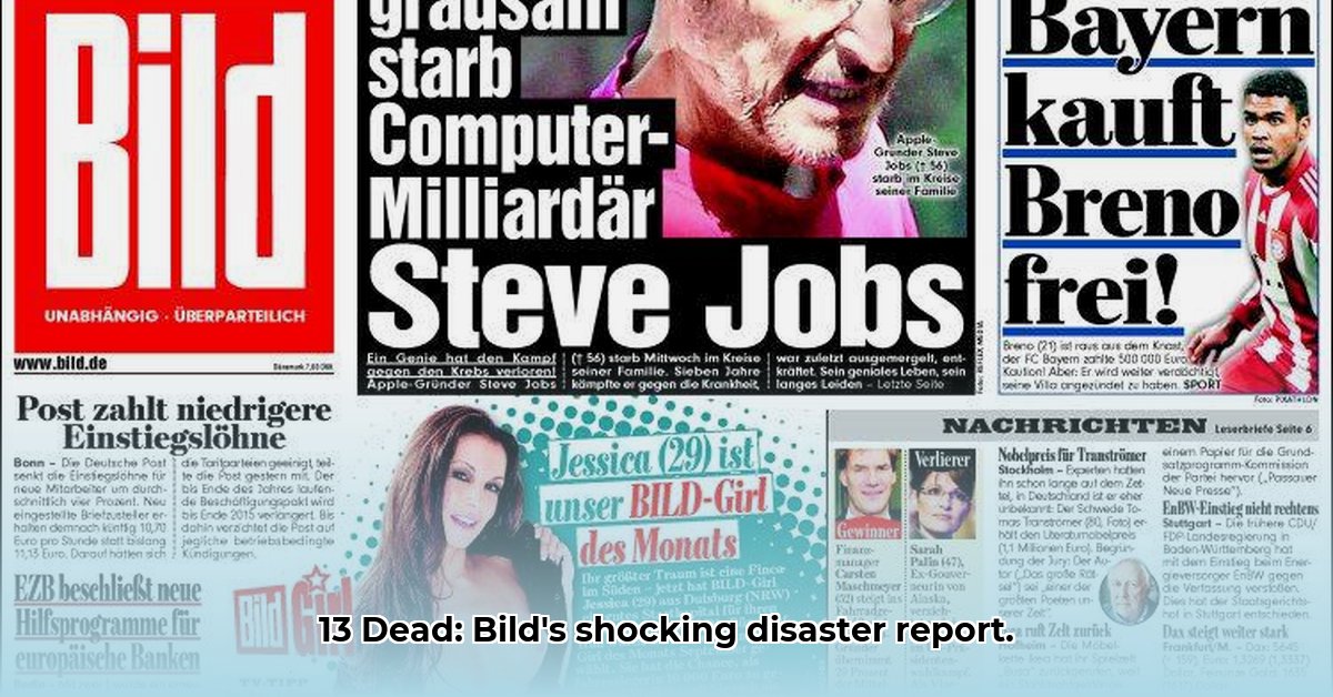 bild-zeitung